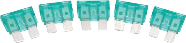 BLADE FUSE - 30 AMP 5 PER SET