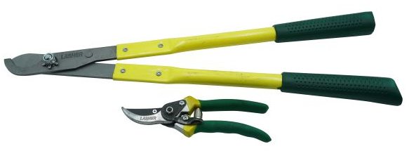 Combo Lop Shear & Secateur
